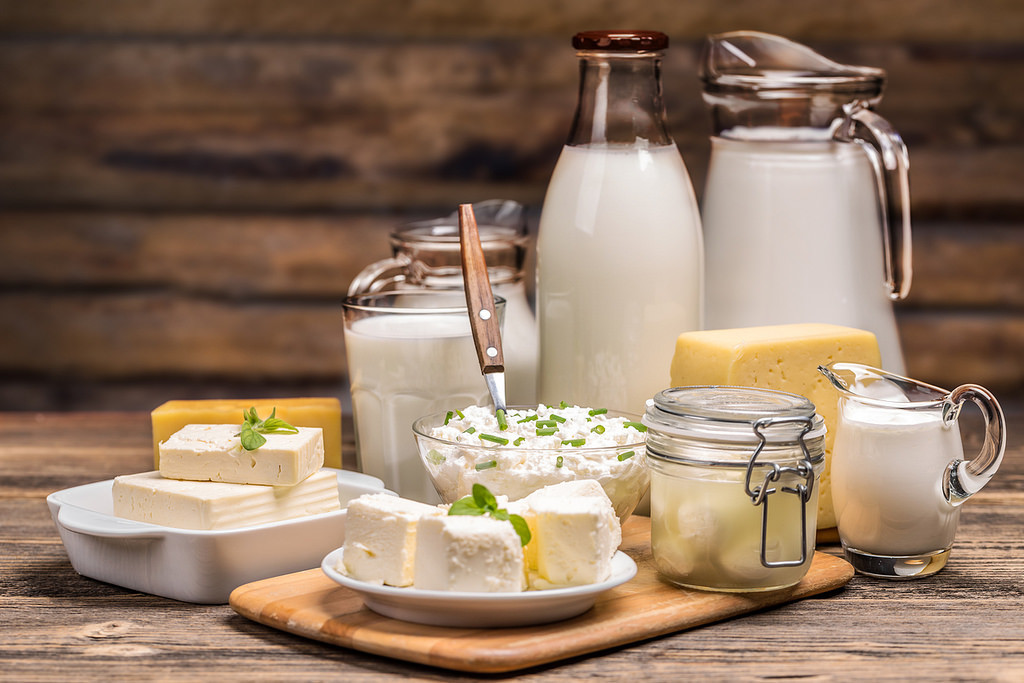OGM Cultivo de iniciación de calidad premium fabricado con leche orgánica fresca libre de aditivos para hacer leche kéfir casera de probióticos. 10g Granos de leche kéfir orgánicos 